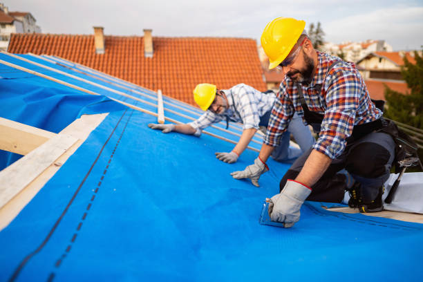 Best Roof Leak Repair  in Chariton, IA