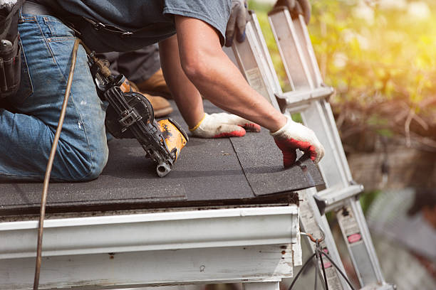 Best Roof Repair Services  in Chariton, IA