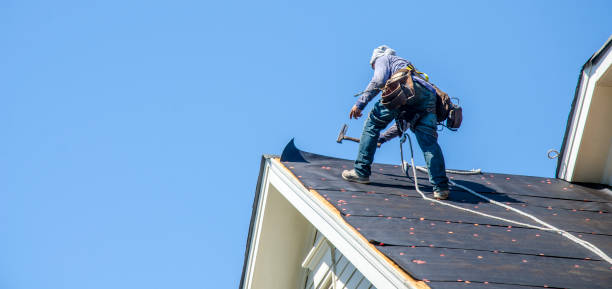 Best Flat Roof Repair Services  in Chariton, IA