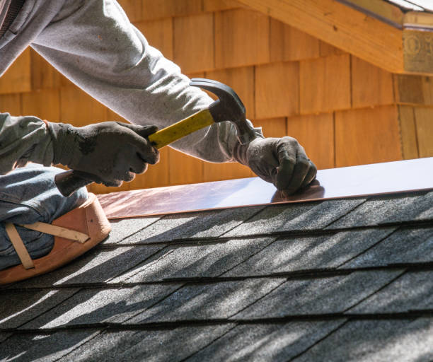 Best Local Roofing Companies  in Chariton, IA